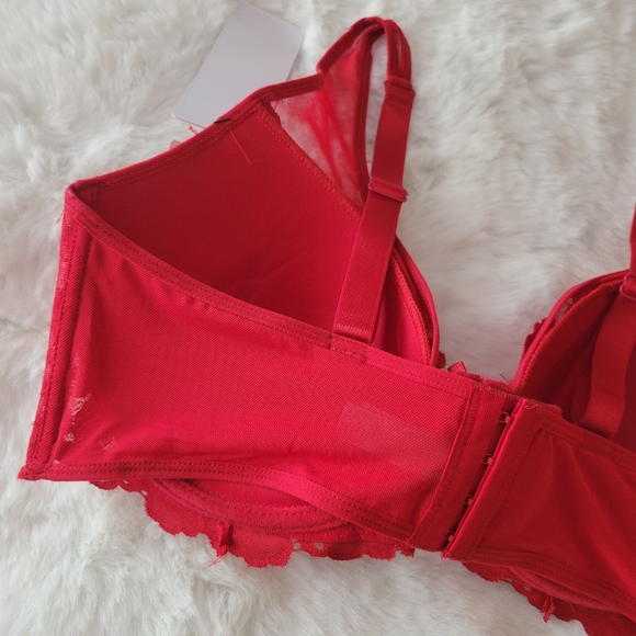 💋DAISY FUENTES BRAND NEW HIGH APEX LACE BRA SIZE 40C - Picture 10 of 11